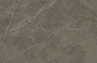 Ceralsio Pietra Grey Polished